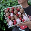 Клубника и бананы в шоколаде с малиной
