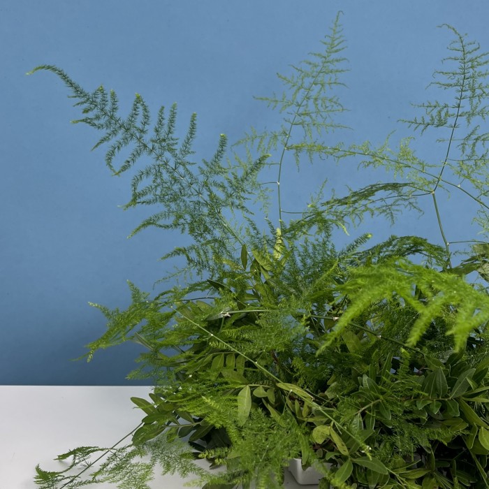 Настольная композиция Лес