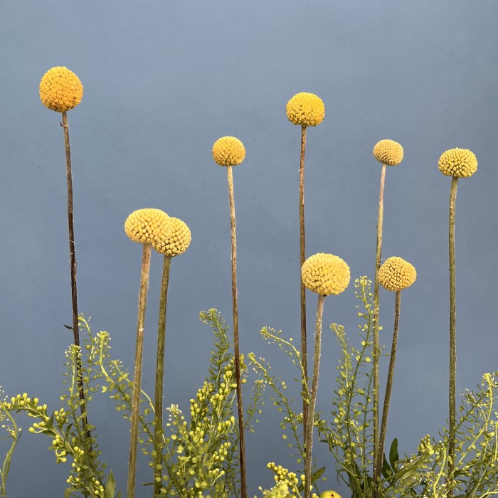 Настольная композиция Летнее поле