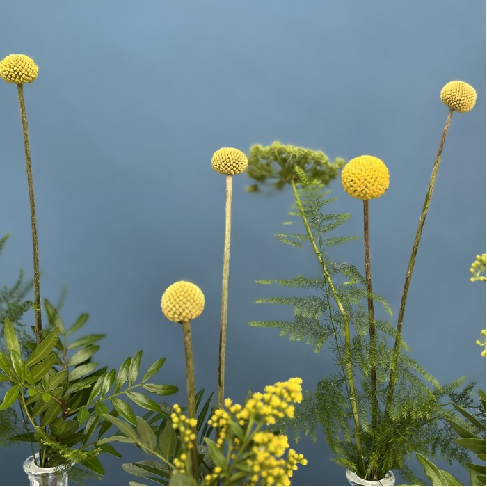 Настольные композиции из пяти ваз "Где-то в Тайге"