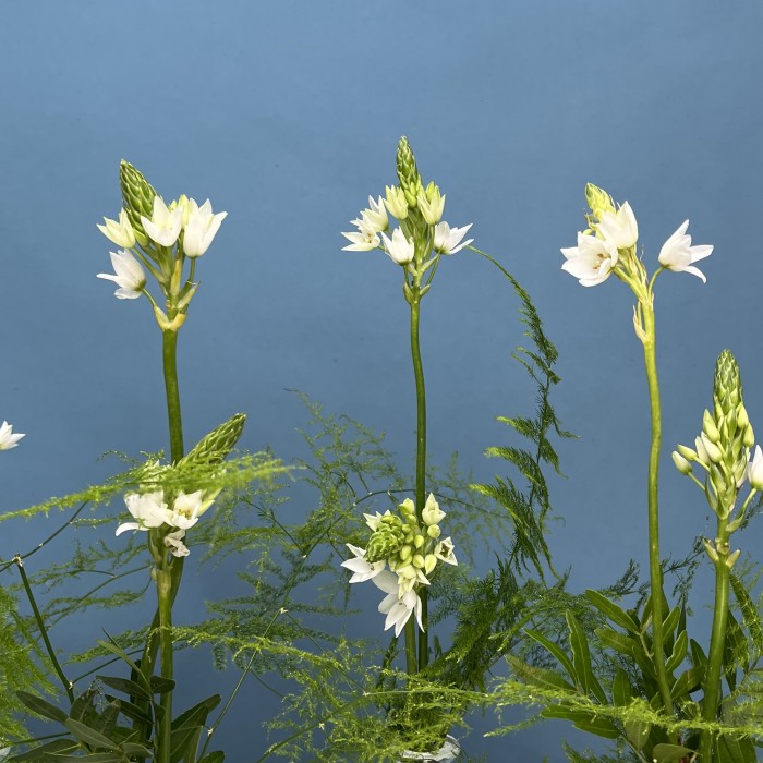 Настольные композиции из пяти ваз Лесная полянка