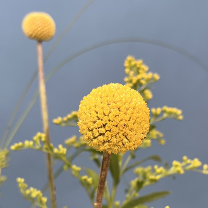 Настольные композиции из пяти ваз Солнечный день