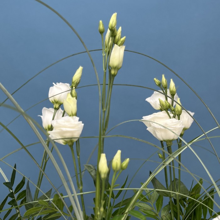 Настольные композиции из пяти ваз Танец цветов