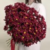 15 бордовых кустовых хризантем Бакарди