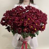 15 бордовых кустовых хризантем Бакарди