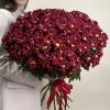 25 бордовых кустовых хризантем Бакарди