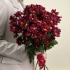 5 бордовых кустовых хризантем Бакарди
