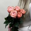 5 пионовидных роз Кахала 60 см