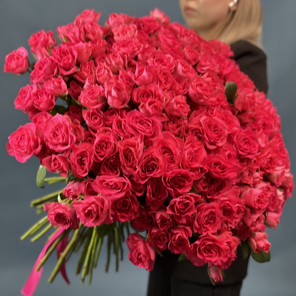 101 кустовая Роза Белла Линда Цериз 60 см