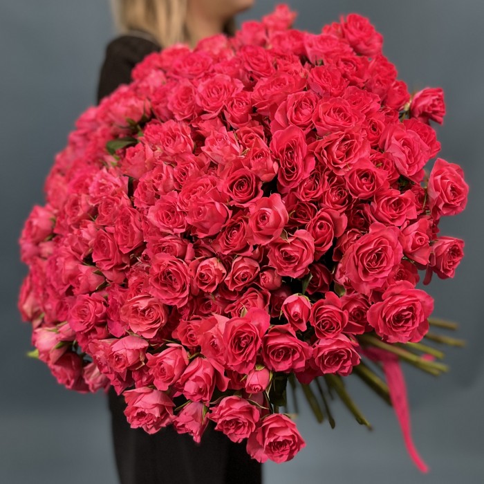 101 кустовая Роза Белла Линда Цериз 60 см