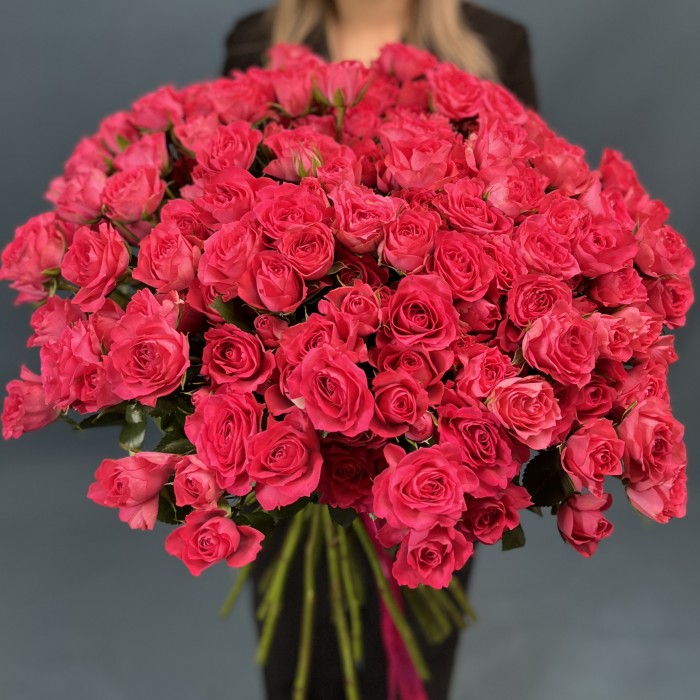 51 кустовая Роза Белла Линда Цериз 60 см