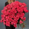 51 кустовая Роза Белла Линда Цериз 60 см