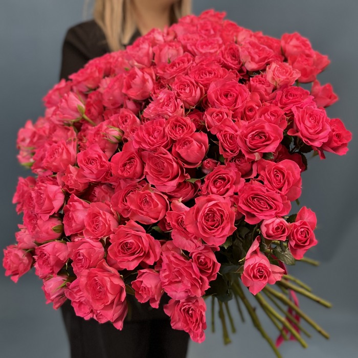 51 кустовая Роза Белла Линда Цериз 60 см