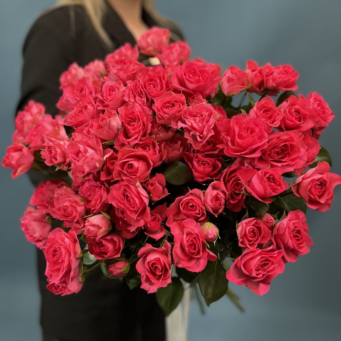 Малиновая кустовая Роза Белла Линда Цериз 60 см