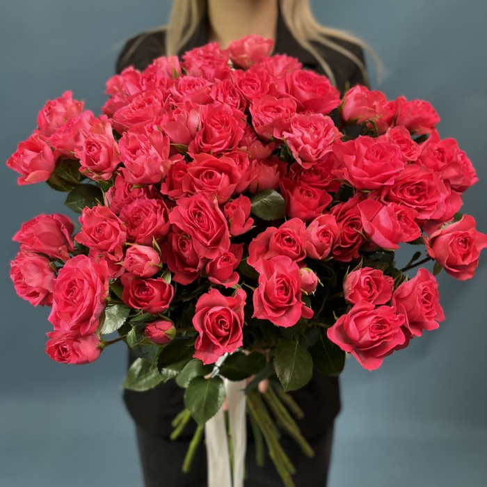 Малиновая кустовая Роза Белла Линда Цериз 60 см