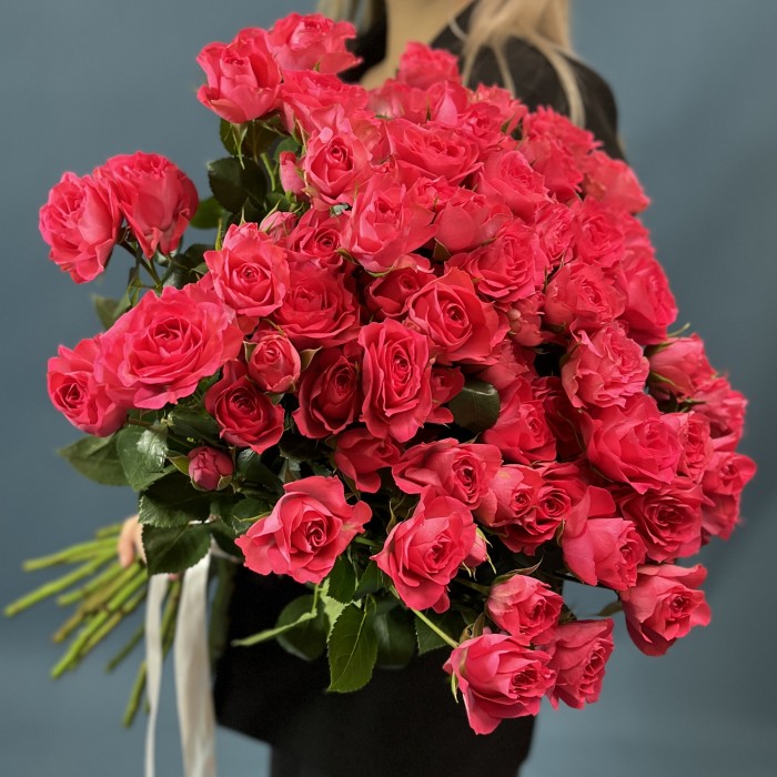 Малиновая кустовая Роза Белла Линда Цериз 60 см