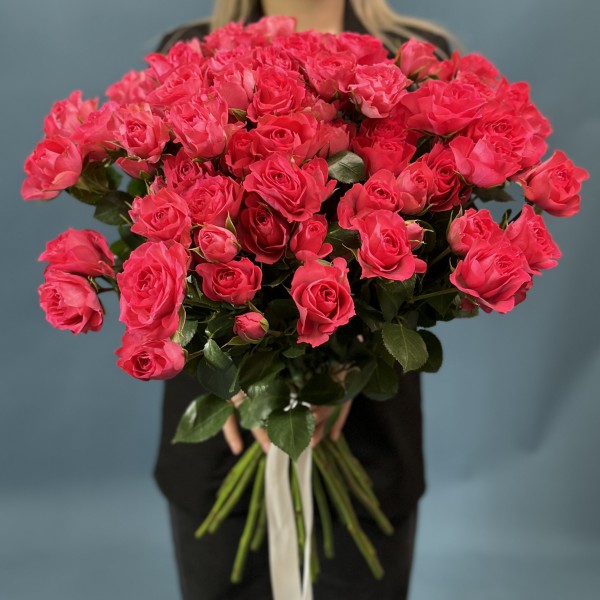 Малиновая кустовая Роза Белла Линда Цериз 60 см