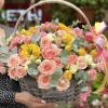 35 нежных кустовых и пионовидных роз в корзине MIX