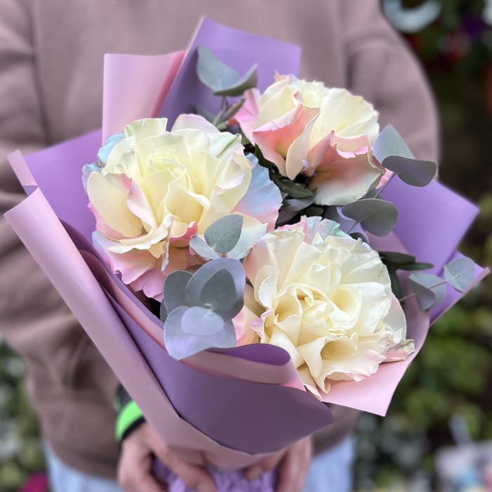 3 пышные радужные розово-бело-голубые розы