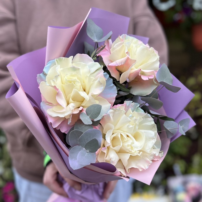 3 пышные радужные розово-бело-голубые розы