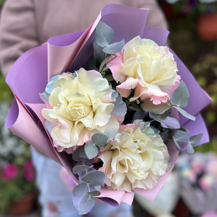 3 пышные радужные розово-бело-голубые розы