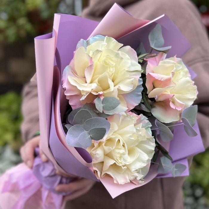 3 пышные радужные розово-бело-голубые розы