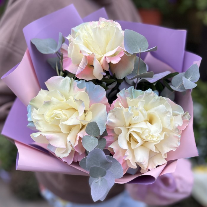 3 пышные радужные розово-бело-голубые розы