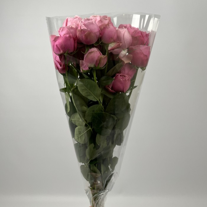 Роза 50 см кустовая пионовидная Розовая Сильва Пинк