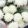 15 белых хризантем с эвкалиптом