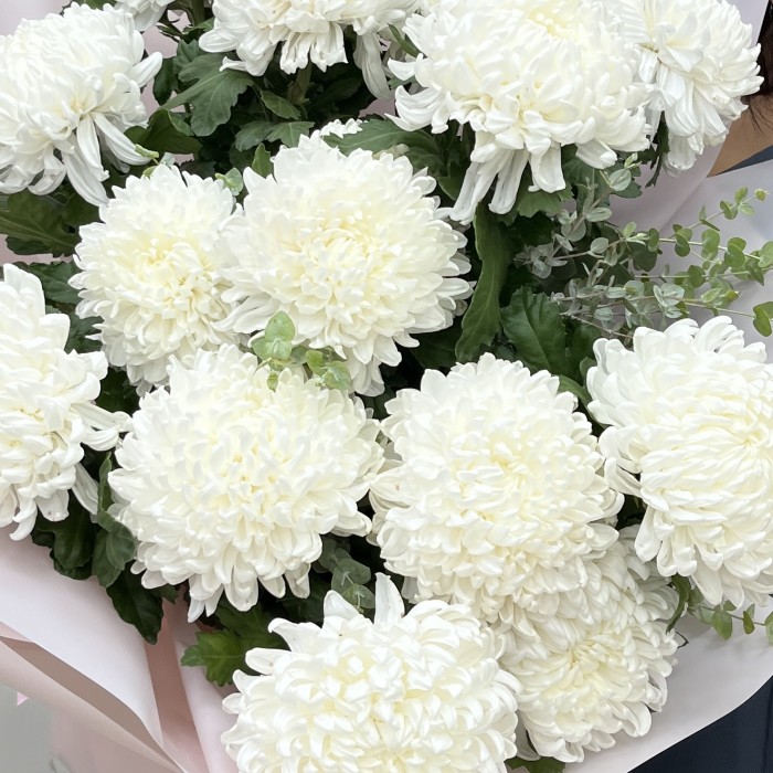15 белых хризантем с эвкалиптом