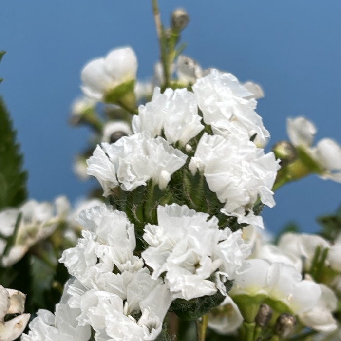 Настольная композиция на ресепшен с белыми цветами