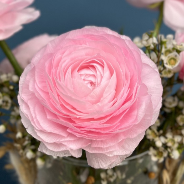 Настольная композиция на ресепшен с розовыми ранункулюсами