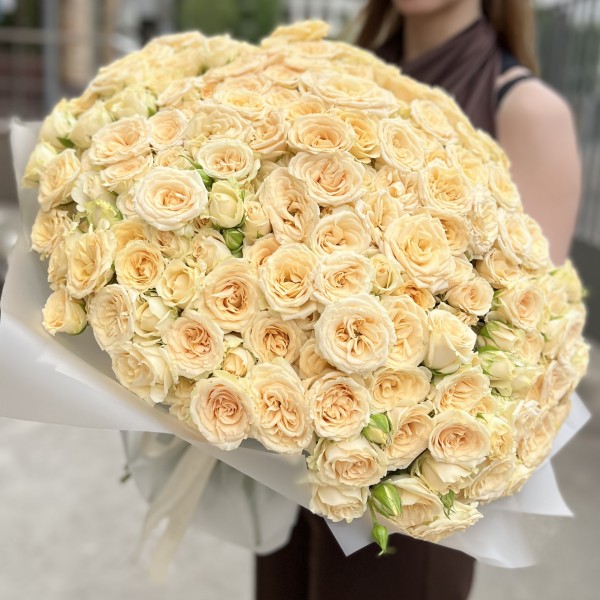 101 кустовая кремовая роза Аксана 40 см