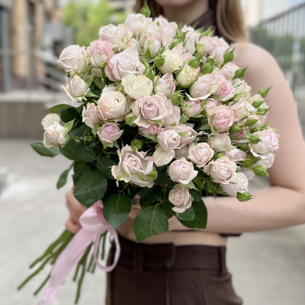 11 нежных кустовых пионовидных роз Энджел Бомбастик 60 см