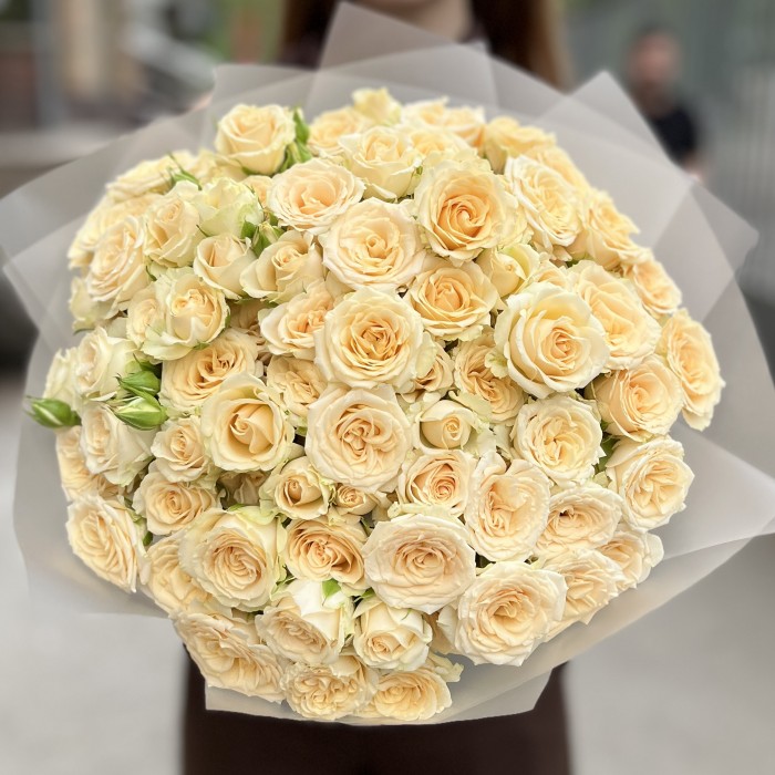 25 кремовых кустовых роз Аксана 40 см