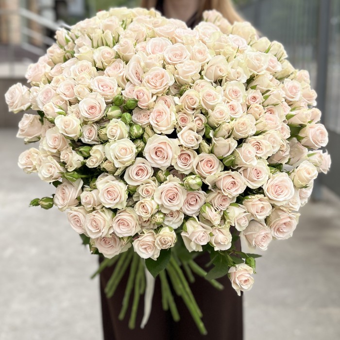 35 кустовых роз Роял Порцелина 70 см