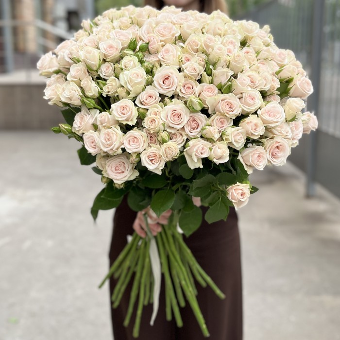 35 кустовых роз Роял Порцелина 70 см