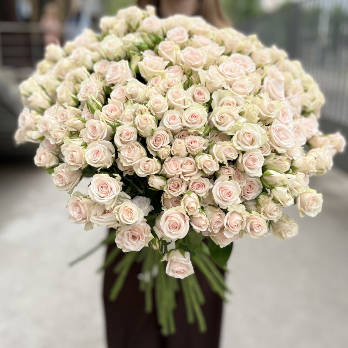 45 ароматных кустовых роз Роял Порцелина 60 см
