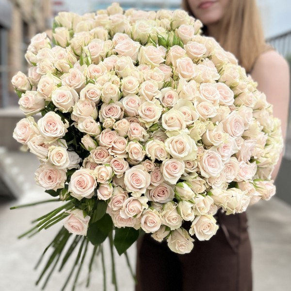 45 ароматных кустовых роз Роял Порцелина 60 см