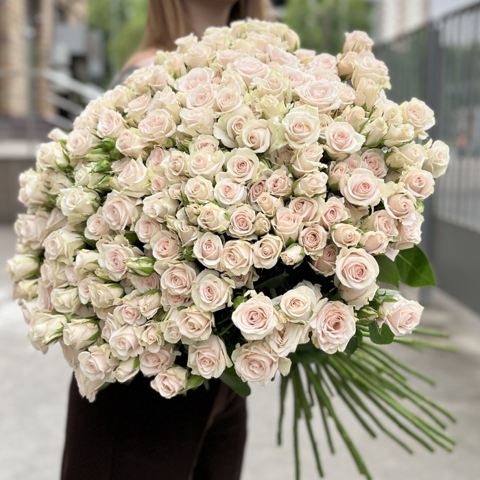 45 ароматных кустовых роз Роял Порцелина 60 см