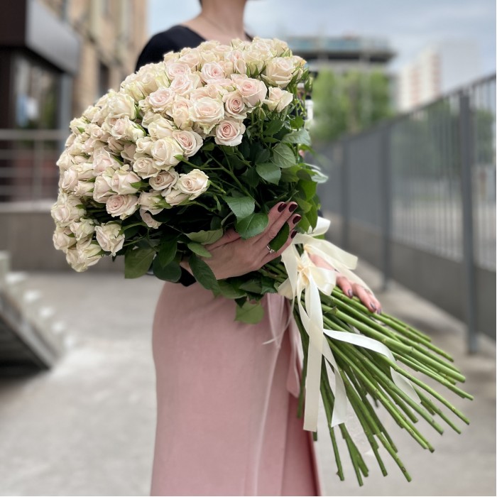 51 ароматная кустовая роза Роял Порцелина 60 см