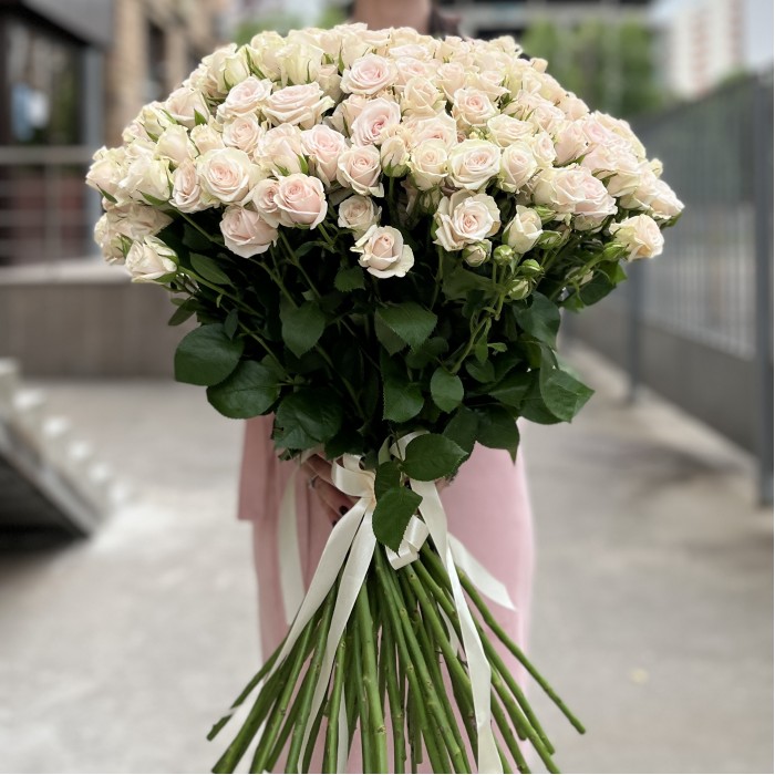 51 ароматная кустовая роза Роял Порцелина 60 см