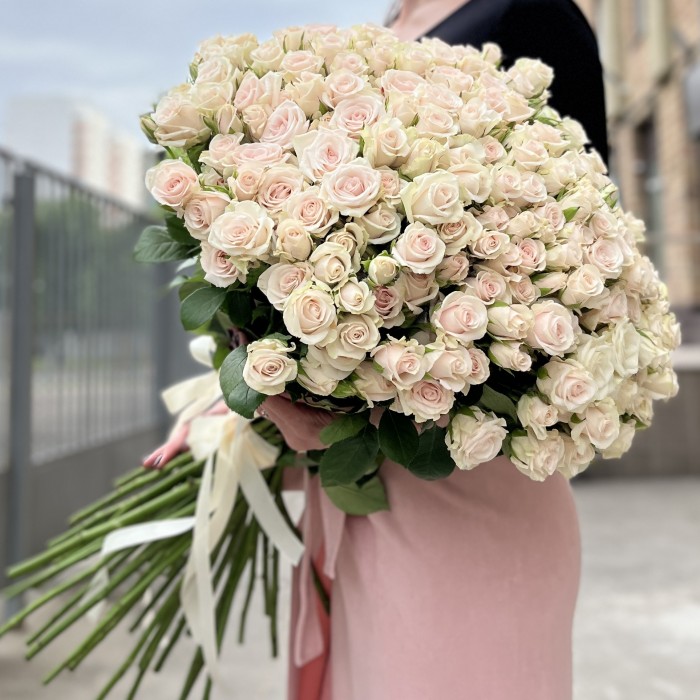 51 ароматная кустовая роза Роял Порцелина 60 см