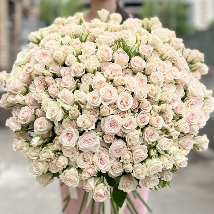 51 ароматная кустовая роза Роял Порцелина 60 см