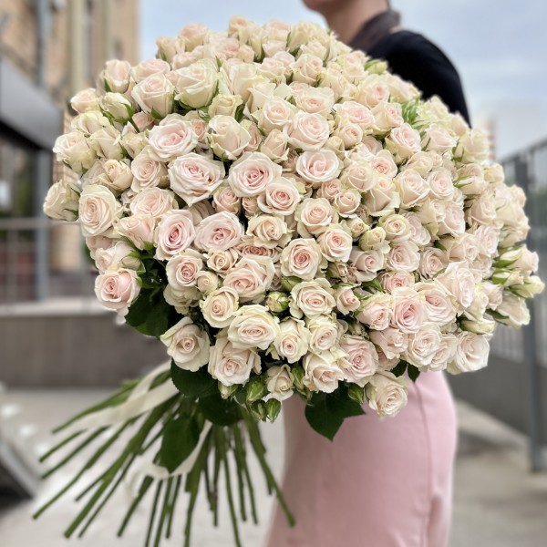 51 ароматная кустовая роза Роял Порцелина 60 см