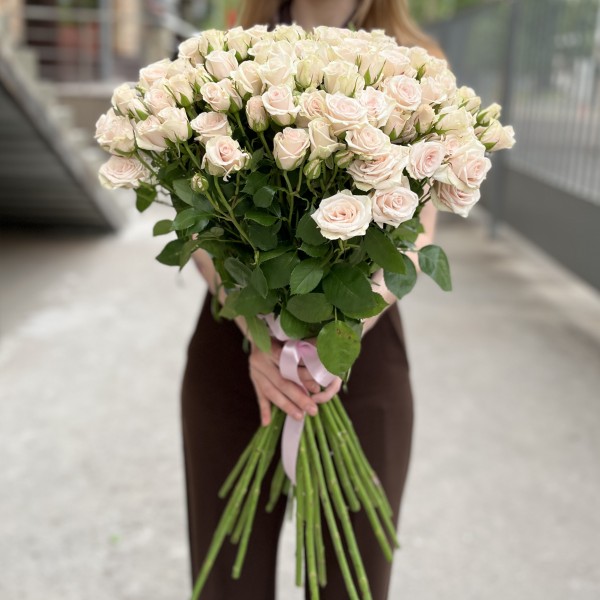 Кустовая Роза Роял Порцелина 70 см