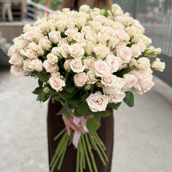 Ароматная Роза Роял Порцелина 60 см