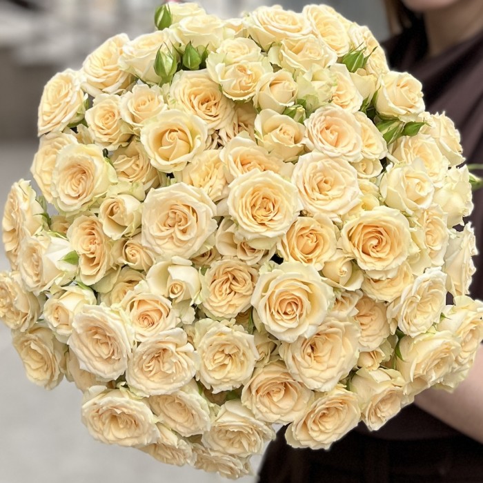 Кустовая кремовая роза Аксана 40 см
