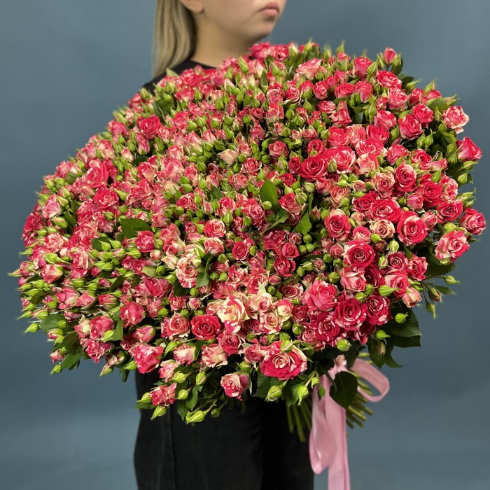 101 кустовая бело-малиновая роза Файрворкс 70 см