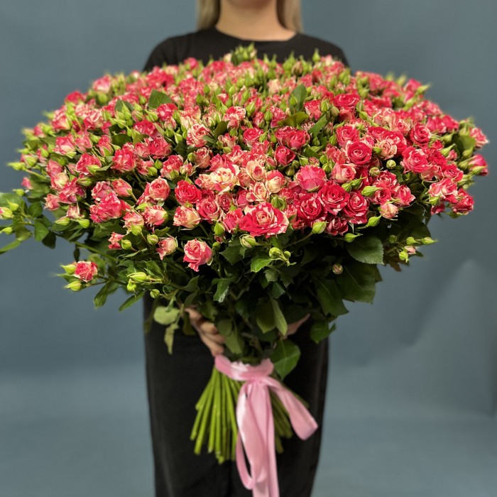 101 кустовая бело-малиновая роза Файрворкс 70 см